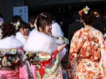 2014蟹江町　成人式　振袖美人