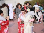 2013蟹江町　成人式　振袖美人