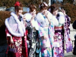 2010蟹江町　成人式　振袖美人