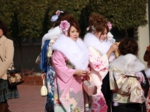 2011蟹江町　成人式　振袖美人