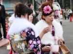 2009蟹江町　成人式　振袖美人